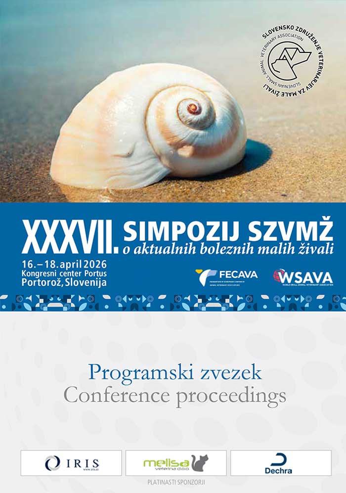 Programski zvezek